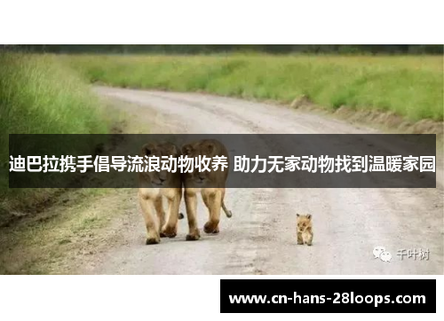迪巴拉携手倡导流浪动物收养 助力无家动物找到温暖家园